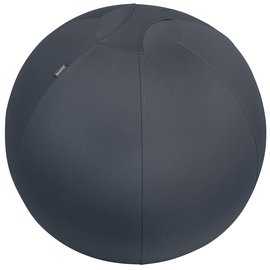 Sitzball Ergo Cosy 65cm Durchmesser mit Stoffüberzug schwarz Leitz 5279-00-89 Produktbild