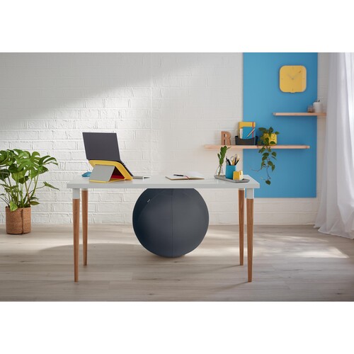 Sitzball Ergo Cosy 65cm Durchmesser mit Stoffüberzug schwarz Leitz 5279-00-89 Produktbild Additional View 3 L