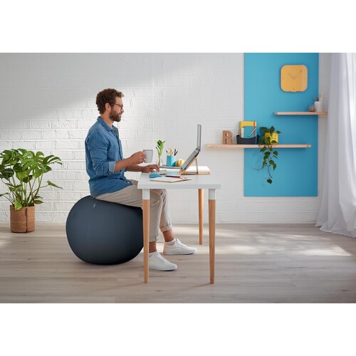 Sitzball Ergo Cosy 65cm Durchmesser mit Stoffüberzug schwarz Leitz 5279-00-89 Produktbild Additional View 4 L