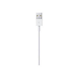 Apple Lightning-Kabel - Lightning männlich zu USB männlich Produktbild