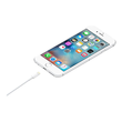 Apple Lightning-Kabel - Lightning männlich zu USB männlich Produktbild Additional View 4 S