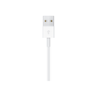 Apple Magnetic - Ladekabel für Smartwatch - USB männlich Produktbild Additional View 3 S