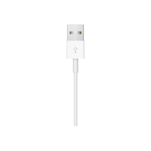 Apple Magnetic - Ladekabel für Smartwatch - USB männlich Produktbild Additional View 3 L