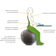Sitzball ERGO SPHERE 65cm Durchmesser grau Filz Unilux 400165093 Produktbild Additional View 7 S