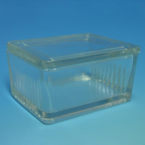 Objektträgerkasten aus Glas, mit Deckel nach Schiefferdecker Produktbild Front View L