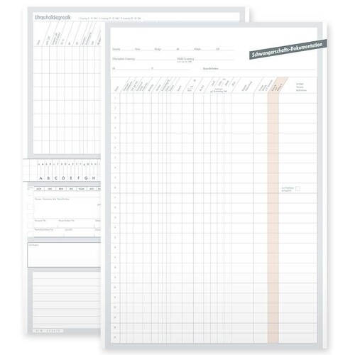 Karteikarten ALPHAsafe DINA5 (250 Stck.) Typ Schwangerschaftsdokumentation  Produktbild Front View L