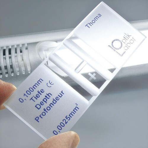Zählkammer nach Thoma doppelt, mit CE-Zeichen Produktbild Additional View 1 L