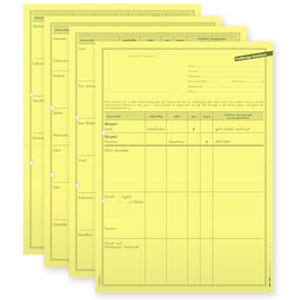 Ernährungsanamnese DIN A4 4-seitig (100 Stck.) (PACK=100 STÜCK) Produktbild