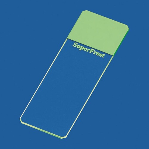 Objektträger SuperFrost grün -kein Umsatz- Produktbild Front View L