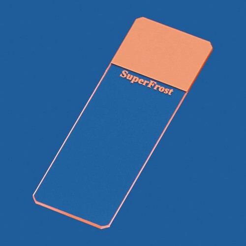 Objektträger SuperFrost orange geschliffen 45° (50 Stck.) (PACK=50 STÜCK) Produktbild Front View L