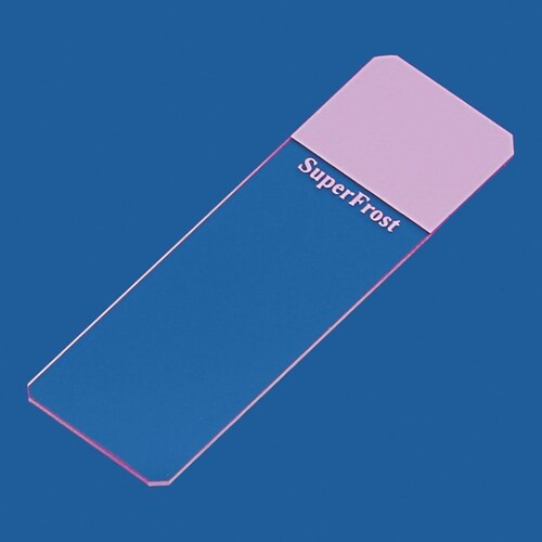 Objektträger SuperFrost lila geschliffen 45° (50 Stck.) (PACK=50 STÜCK) Produktbild Front View L