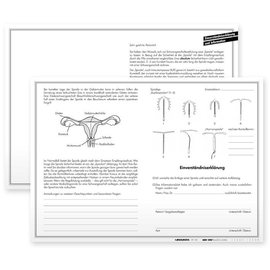 Information u. Einverständniserklärungen Typ Gynäkologie (100 Stck.) (PACK=100 STÜCK) Produktbild