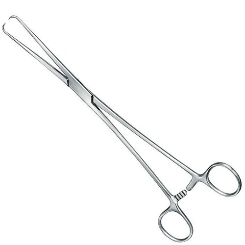Hakenzange nach Schröder, 1 x 1 Zähne, 25,5 cm Produktbild Front View L