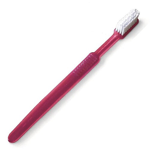 Einmal-Zahnbürsten mit Paste, weinrot (100 Stck.) (PACK=100 STÜCK) Produktbild Front View L