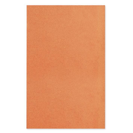 Dental-Trayeinlagen/-Filterpapier 18 x 28 cm, orange (250 Blatt) Produktbild