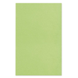 Dental-Trayeinlagen/-Filterpapier 18 x 28 cm, limette (250 Blatt) Produktbild