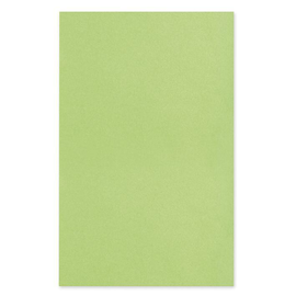 Dental-Trayeinlagen/-Filterpapier 18 x 28 cm, limette (250 Blatt) Produktbild
