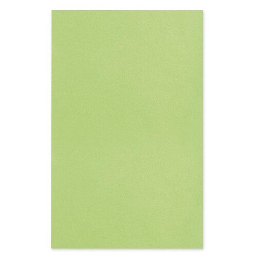 Dental-Trayeinlagen/-Filterpapier 18 x 28 cm, limette (250 Blatt) Produktbild Front View L