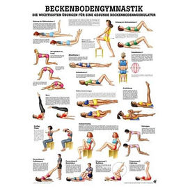 anat. Lehrtafel: Beckenbodengymnastik 70 x 100 cm, Papier Produktbild