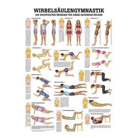 anat. Lehrtafel: Wirbelsäulengymnastik 70 x 100 cm, laminiert Produktbild