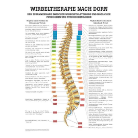 anat. Mini-Poster: Dorn Therapie 24 x 34 cm, laminiert Produktbild