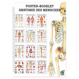 Mini-Poster Booklet: Anatomie Produktbild