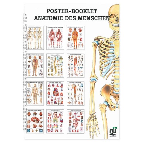 Mini-Poster Booklet: Anatomie Produktbild Front View L