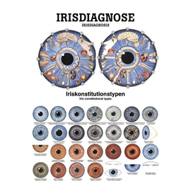 anat. Poster: Irisdiagnose 50 x 70 cm, Papier, zweisprachig Produktbild