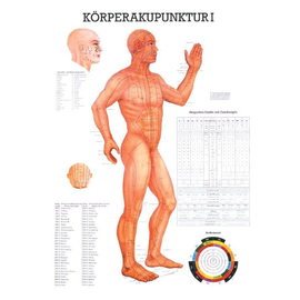 anat. Lehrtafel: Körperakupunktur I 70 x 100 cm, Papier Produktbild