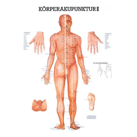 anat. Lehrtafel: Körperakupunktur II 70 x 100 cm, Papier Produktbild