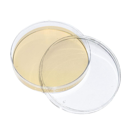 Kimmig-Agar (10 Fertigplatten) **Kühlware** Produktbild