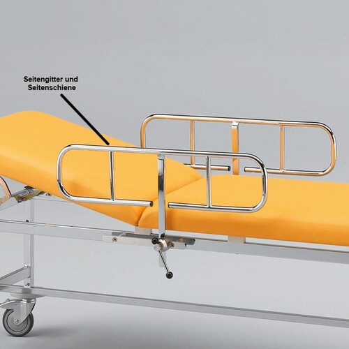 Seitengitter und Seitenschiene Produktbild Front View L