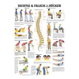 anat. Lehrtafel: Richtig & Falsch für Ihren Rücken 70 x 100 cm, laminiert Produktbild