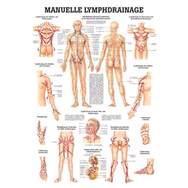 anat. Lehrtafel: Manuelle Lymphdrainage 70 x 100 cm, laminiert Produktbild