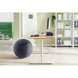Sitzball Active 65cm Durchmesser mit Anti-Roll Funktion Stoff samtgrau Leitz 6542-00-89 Produktbild Additional View 4 S