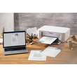 Weihnachts-Motiv-Papier A4 90g Eucalyptus magic Sigel DP424 (PACK=100 BLATT) Produktbild Additional View 2 S