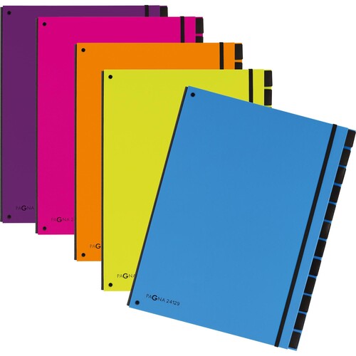 PAGNA Pultordner Trend 24129-13 12Fächer 3Schaulöcher hellblau Produktbild Additional View 1 L