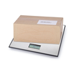 Paketwaage MAULglobal bis 50kg 50g-Teilung silber/schwarz Batterie Maul 1715090 Produktbild Additional View 2 S