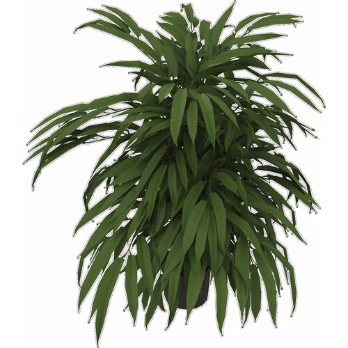 Kunstpflanze Ficus 360Blatt Höhe 800mm Kunststofftopf Produktbild Front View L