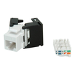 VALUE Keystone Jack - Modulare Eingabe - CAT 6 Produktbild Additional View 1 S