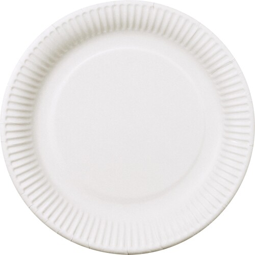 PAPSTAR Teller pure 11185 23cm rund Pappe weiß 100 St./Pack. (PACK=100 STÜCK) Produktbild Front View L