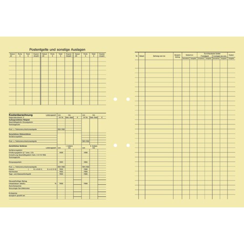 SoldanPlus Handaktenbogen 229 ch 100St (PACK=100 STÜCK) Produktbild Front View L