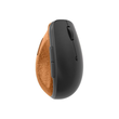 Lenovo Go - Maus - ergonomisch - optisch blau - 6 Tasten - kabellos - 2.4 GHz - kabelloser Empfänger Produktbild