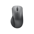 Lenovo Professional - Maus - ergonomisch - optisch blau Produktbild