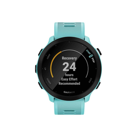 Garmin Forerunner 55 - Aqua Green - Sportuhr mit Band - Silikon - Aqua Green - Anzeige 2.63 cm (1.04 Produktbild