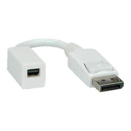 ROLINE DisplayPort-Adapter - Mini DisplayPort (W) Produktbild