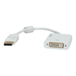 ROLINE Display-Adapter - Dual Link - DisplayPort (M) Produktbild