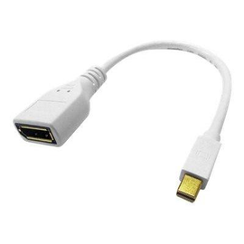 ROLINE DisplayPort-Adapter - Mini DisplayPort (M) Produktbild