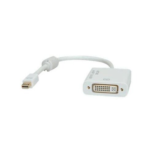 ROLINE Display-Adapter - Dual Link - Mini DisplayPort (M) Produktbild