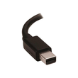 StarTech.com Mini DisplayPort auf HDMI Adapter Produktbild Additional View 2 S